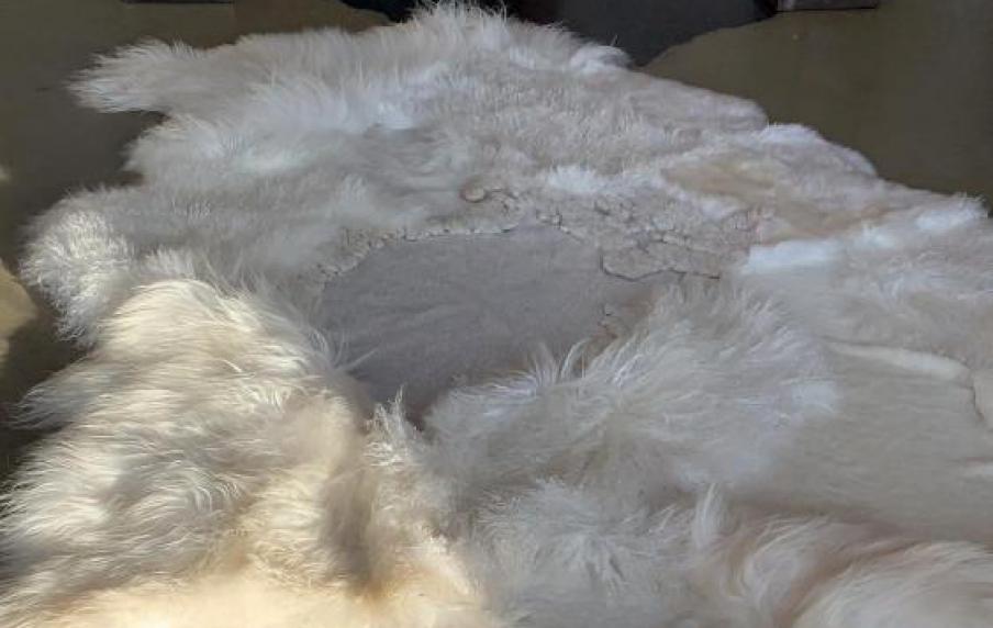 Carine Boxy unieke tapijten van dierenhuiden Carine Boxy unieke tapijten van dierenhuiden