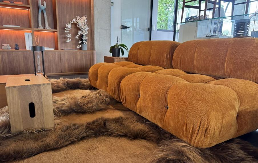 camaleonda sofa B&B Italia
